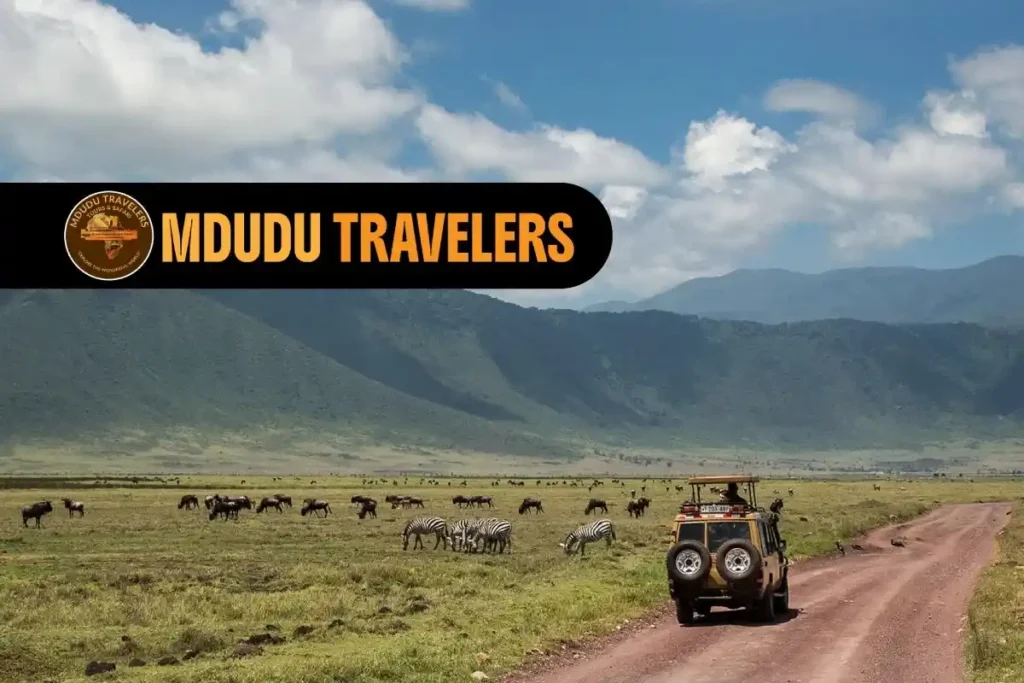 8 Places to Visit in Tanzania Mainland: Your Ultimate Travel Guide 8 Places to Visit in Tanzania Mainland: Your Ultimate Travel Guide