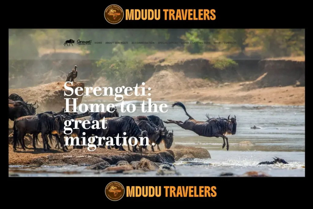 How and Why You Should Visit Serengeti National Park