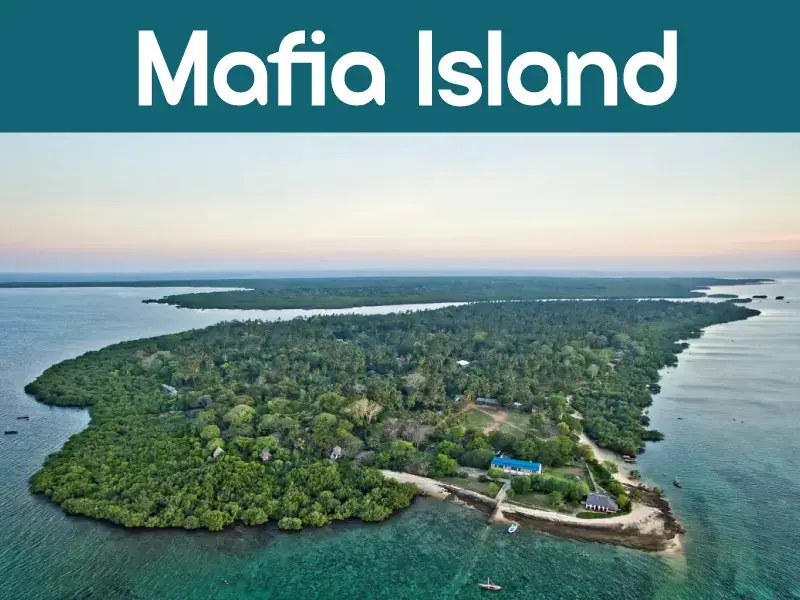 Mafia Island