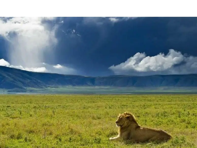 Ngorongoro Conservation Area